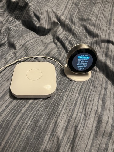 Google nest learning - google,