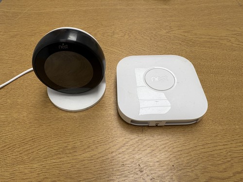 Google nest learning - google,