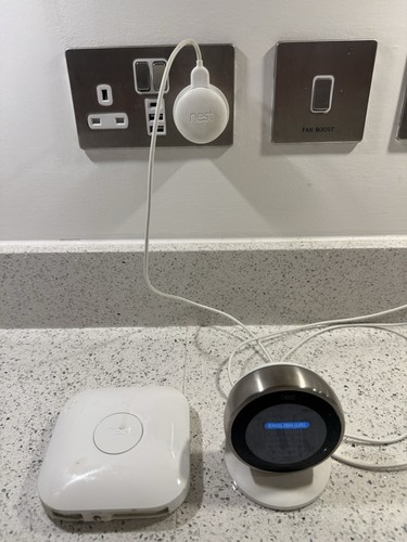 Google nest learning - google,