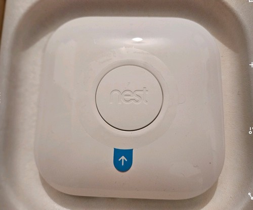 Google nest learning - nest,