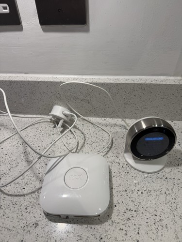 Google nest learning - google,